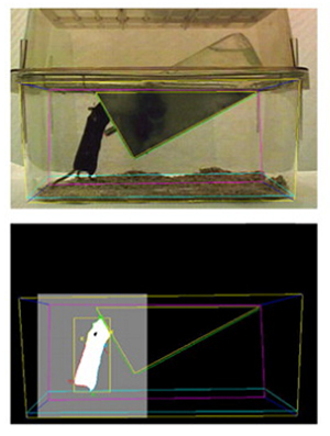 图片7.jpg 图片7.jpg