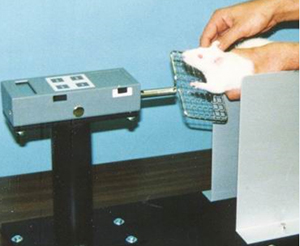 图片10.jpg 图片10.jpg