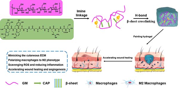 图片3.jpg 图片3.jpg