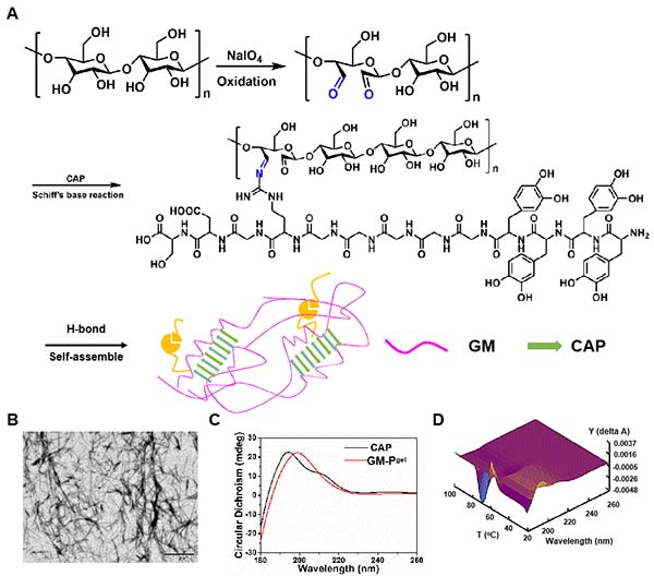 图片4.jpg 图片4.jpg