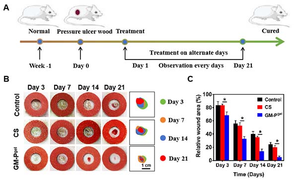 图片5.jpg 图片5.jpg