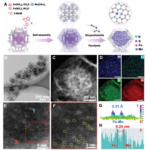 图片2.jpg 图片2.jpg