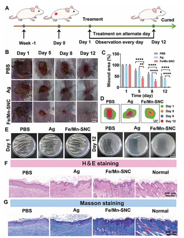 图片3.jpg 图片3.jpg